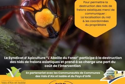 FB_IMG_1762340117186